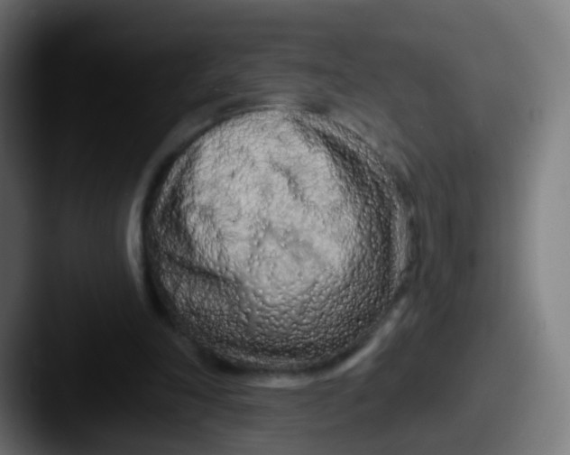 X0000087610198200705181301