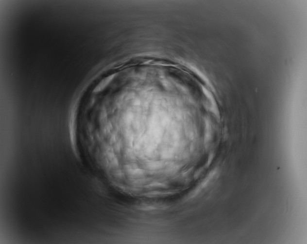 X0000087610199200705181301