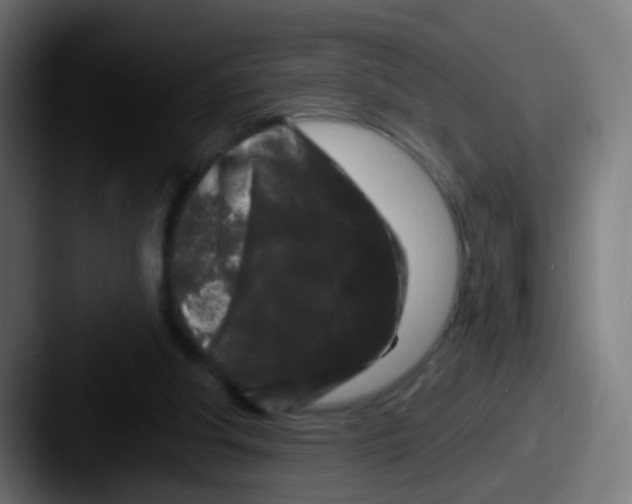 X0000087610202200705181301