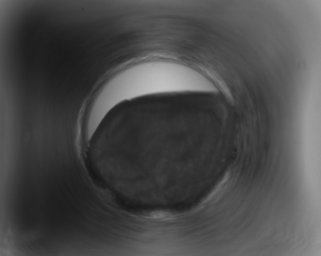 X0000087610204200705181301