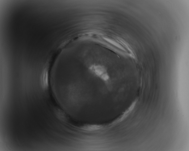 X0000087610205200705181301