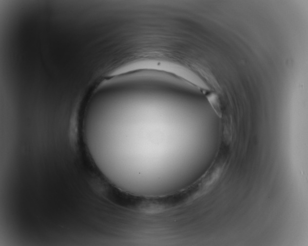 X0000087610207200705181301