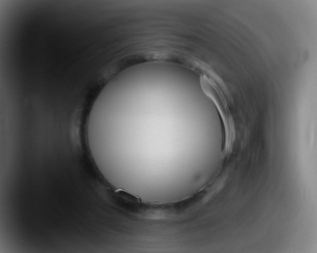 X0000087610209200705181301