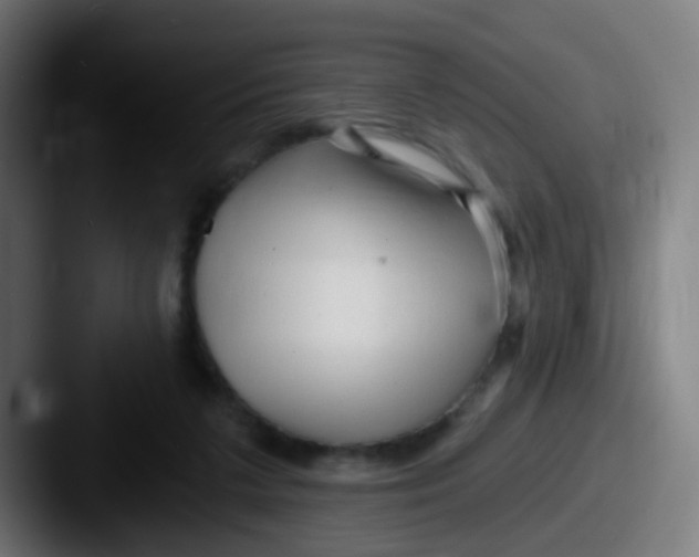 X0000087610211200705181301