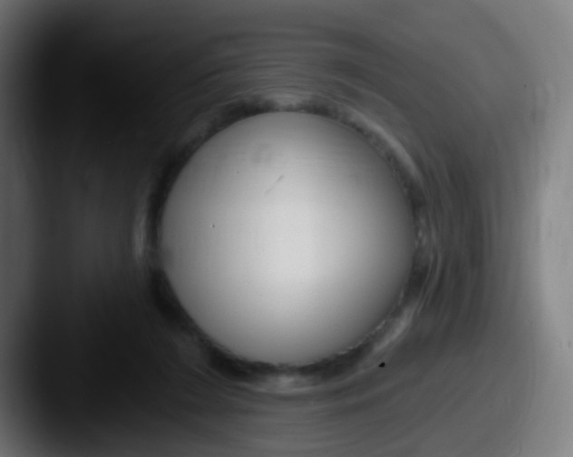 X0000087610212200705181301