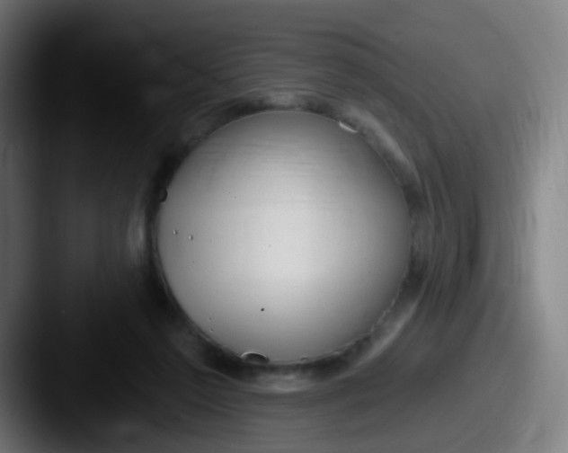 X0000087610213200705181301