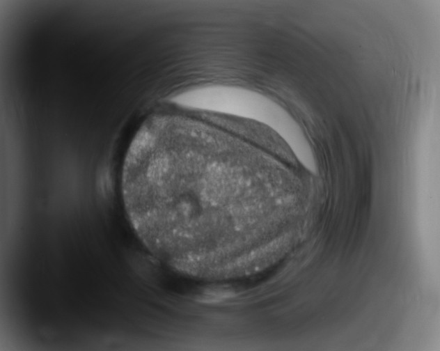 X0000087610214200705181301