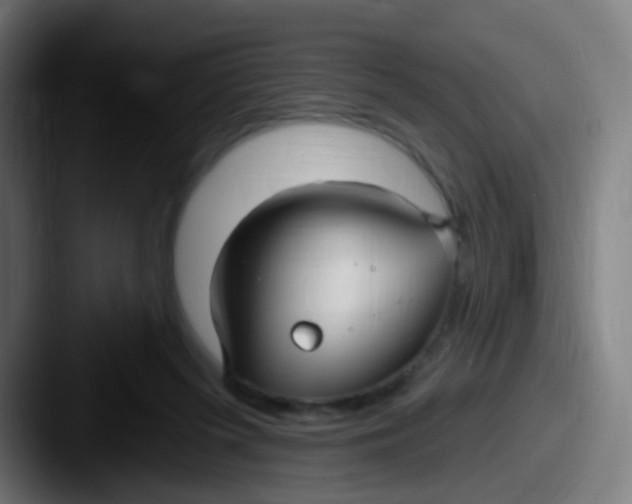 X0000087610215200705181301