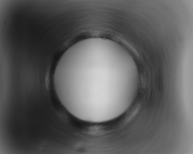 X0000087610216200705181301