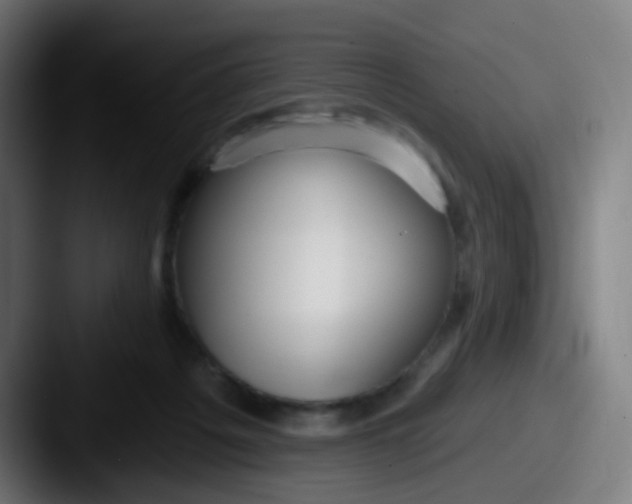 X0000087610217200705181301