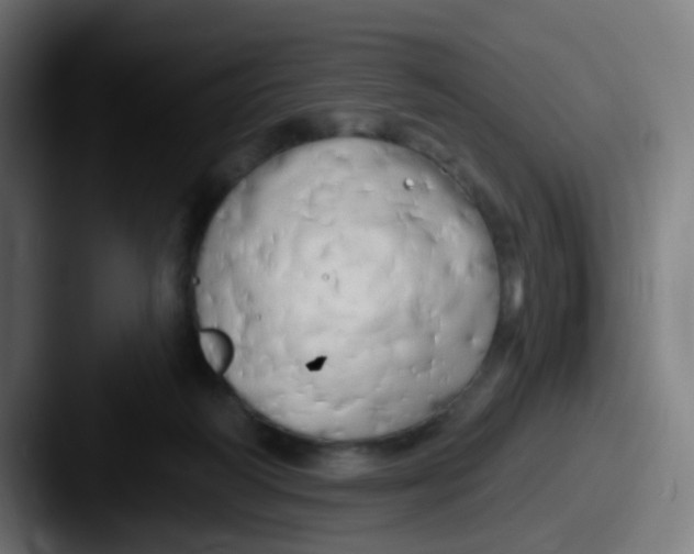 X0000087610218200705181301