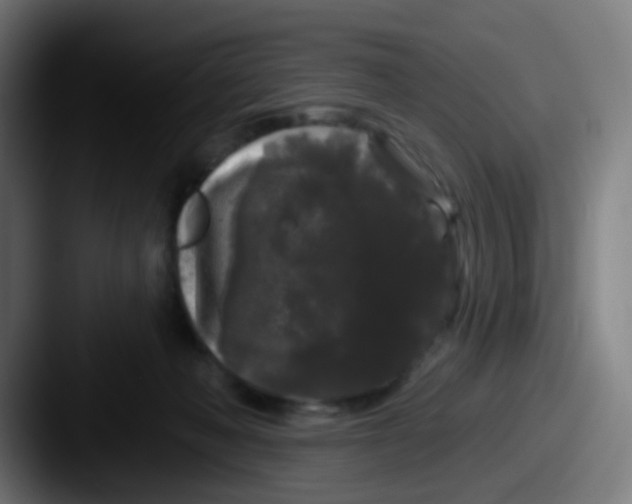 X0000087610222200705181301