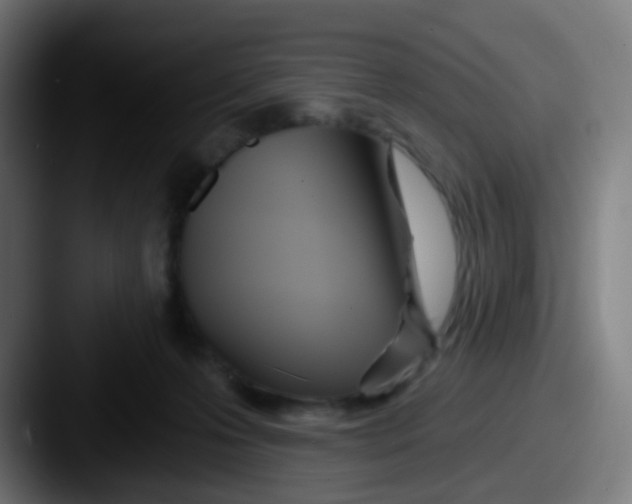 X0000087610223200705181301