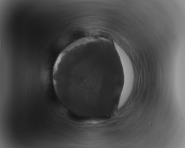 X0000087610224200705181301