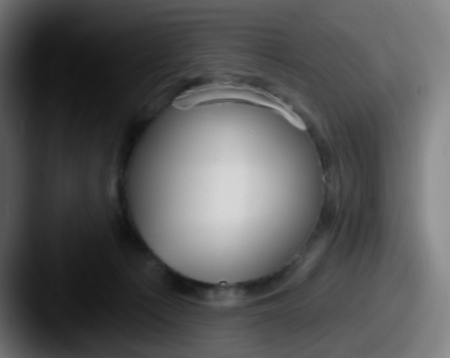 X0000087610225200705181301