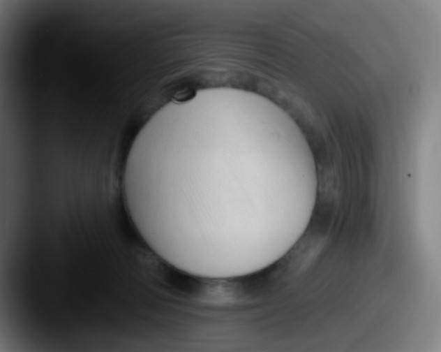 X0000087610226200705181301