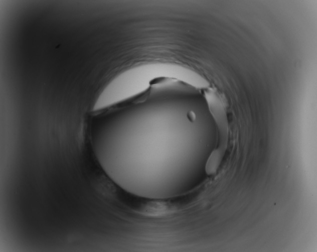 X0000087610227200705181301