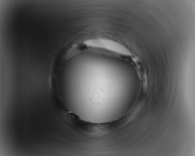 X0000087610229200705181301