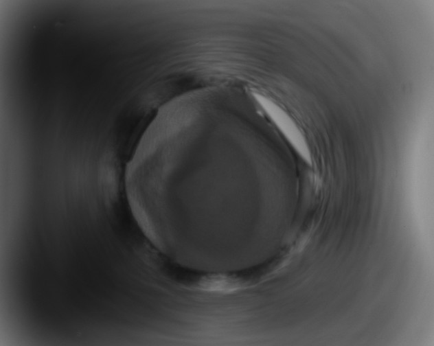 X0000087610231200705181301