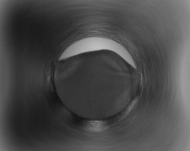 X0000087610233200705181301