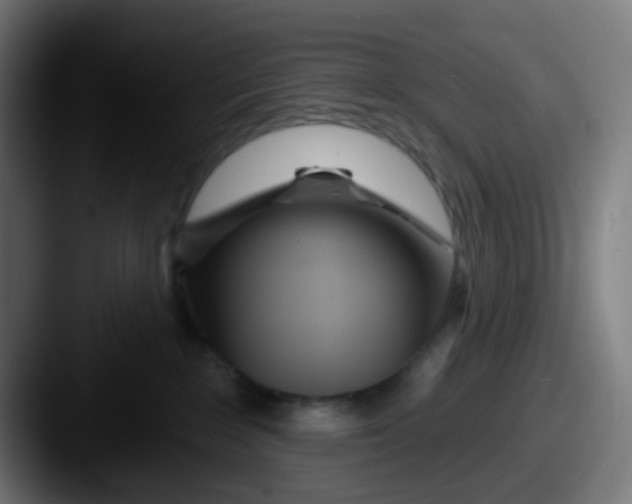 X0000087610235200705181301