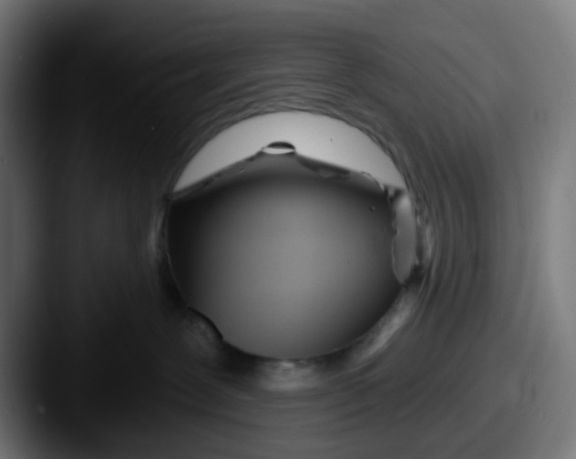 X0000087610239200705181301