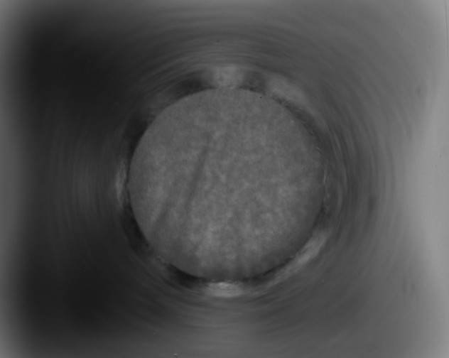 X0000087610240200705181301