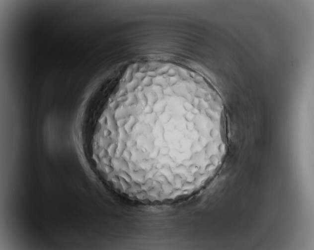 X0000087610241200705181300