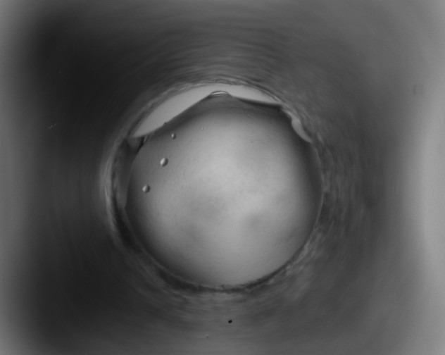 X0000087610242200705181300