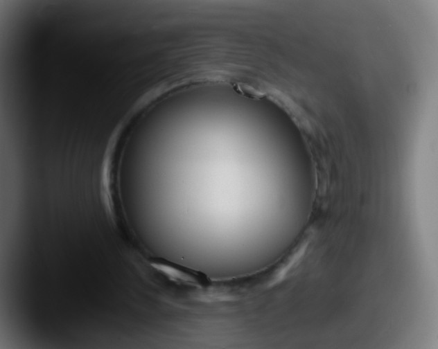 X0000087610244200705181300