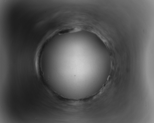 X0000087610245200705181300