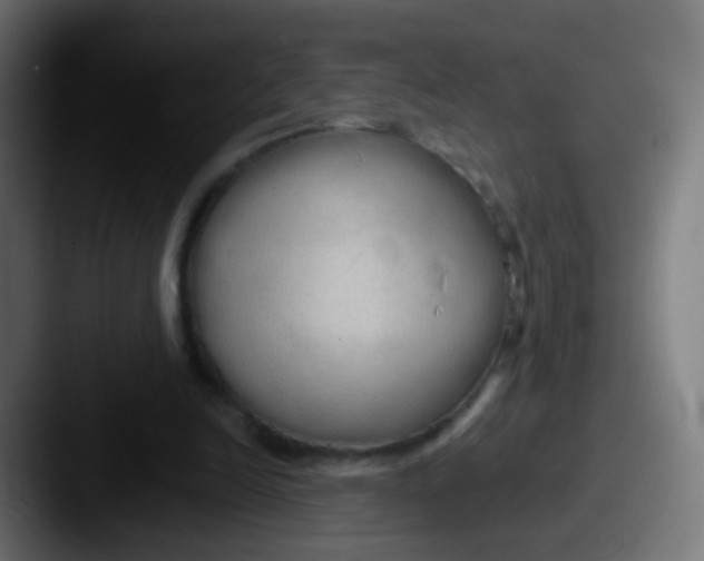 X0000087610246200705181300