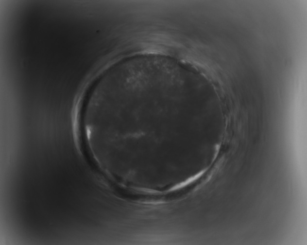 X0000087610247200705181300