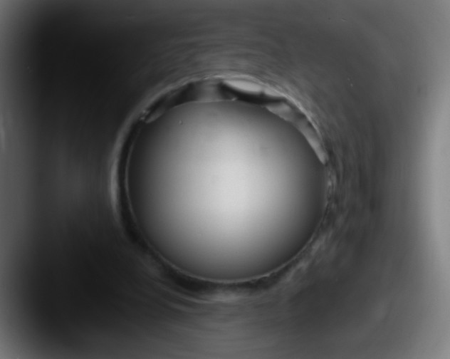 X0000087610248200705181300