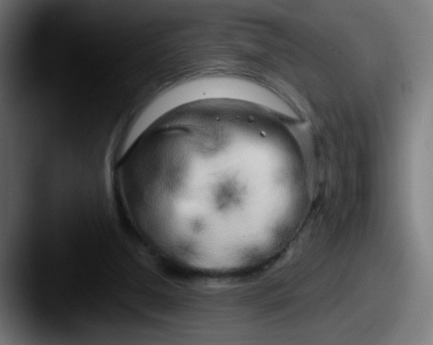 X0000087610250200705181300