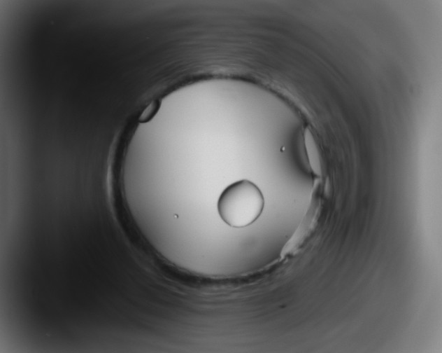 X0000087610252200705181300