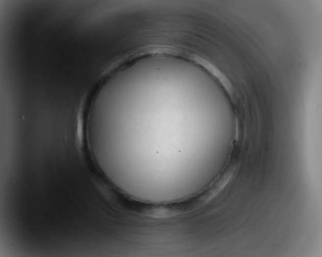 X0000087610253200705181300