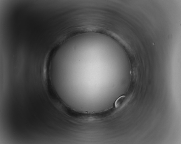 X0000087610254200705181300