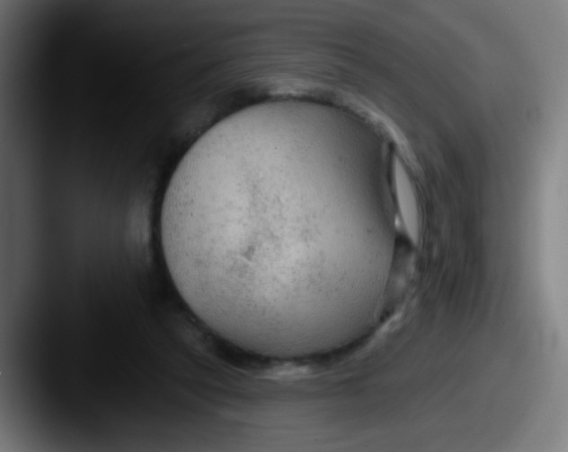 X0000087610257200705181300