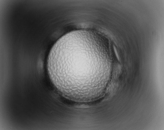 X0000087610258200705181300