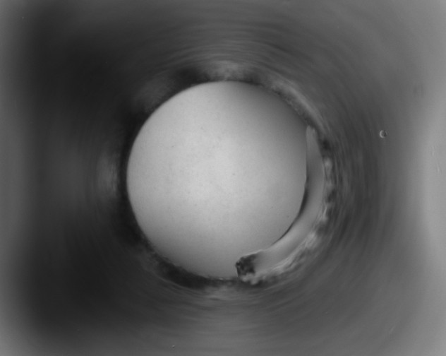 X0000087610259200705181300