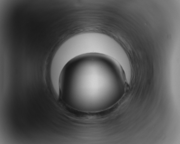 X0000087610260200705181300