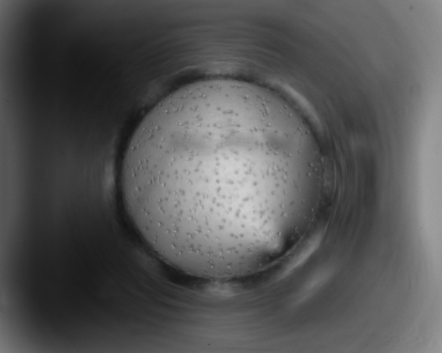 X0000087610261200705181300