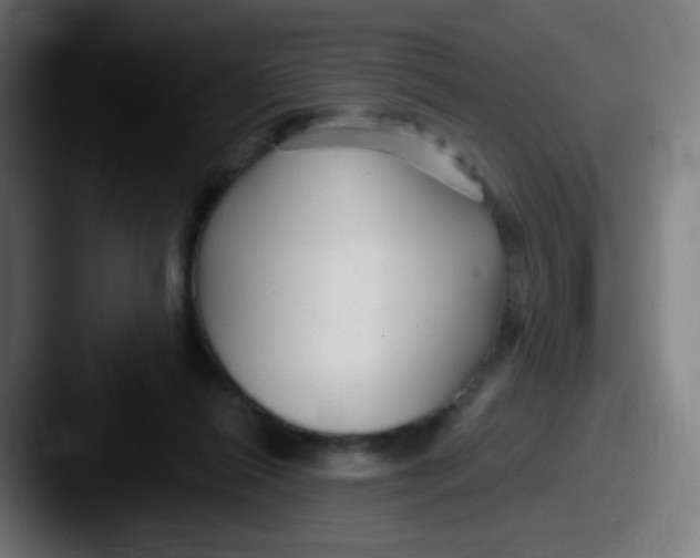 X0000087610262200705181300