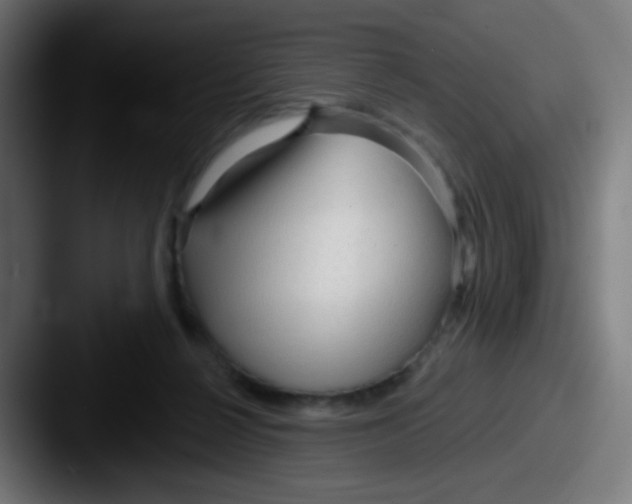 X0000087610264200705181300