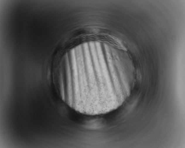 X0000087610267200705181300