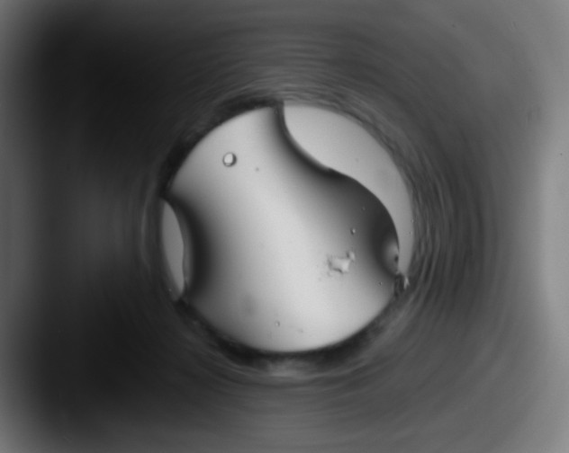 X0000087610268200705181300