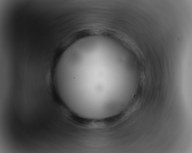 X0000087610270200705181300