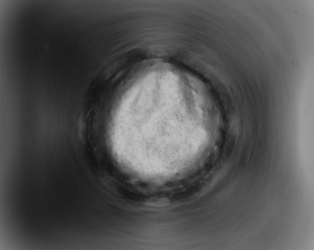 X0000087610271200705181300