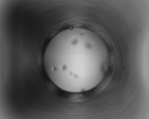 X0000087610274200705181300